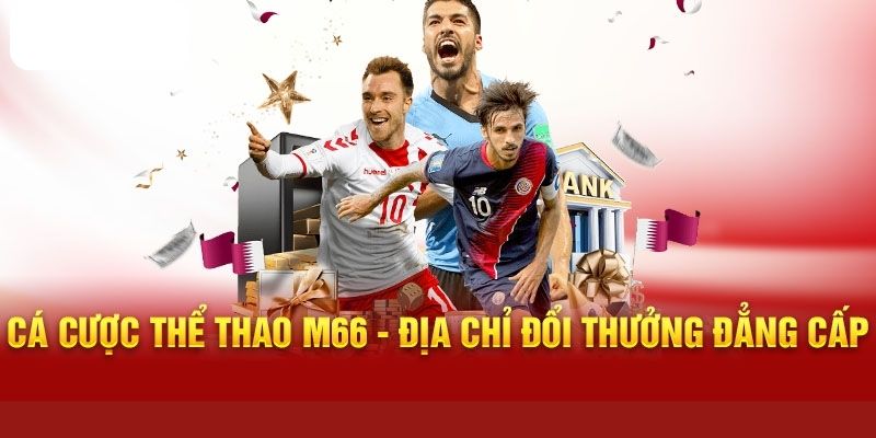 Những môn thể thao cá cược có tại thể thao mb66